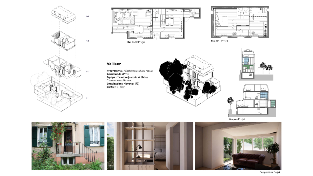 picture of Conversion and Single-Family Homes 