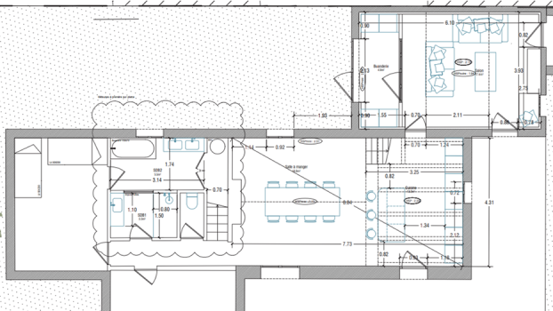 picture of Conversion and Single-Family Homes 