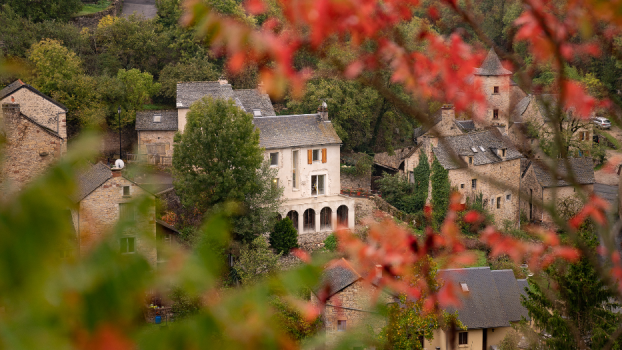 picture of Renovation and Townhouses 