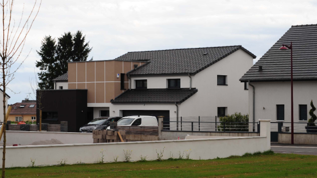 picture of Single-Family Homes and New Build 