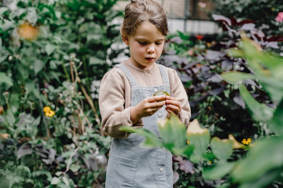 Quand l’agriculture Urbaine redessine les villes