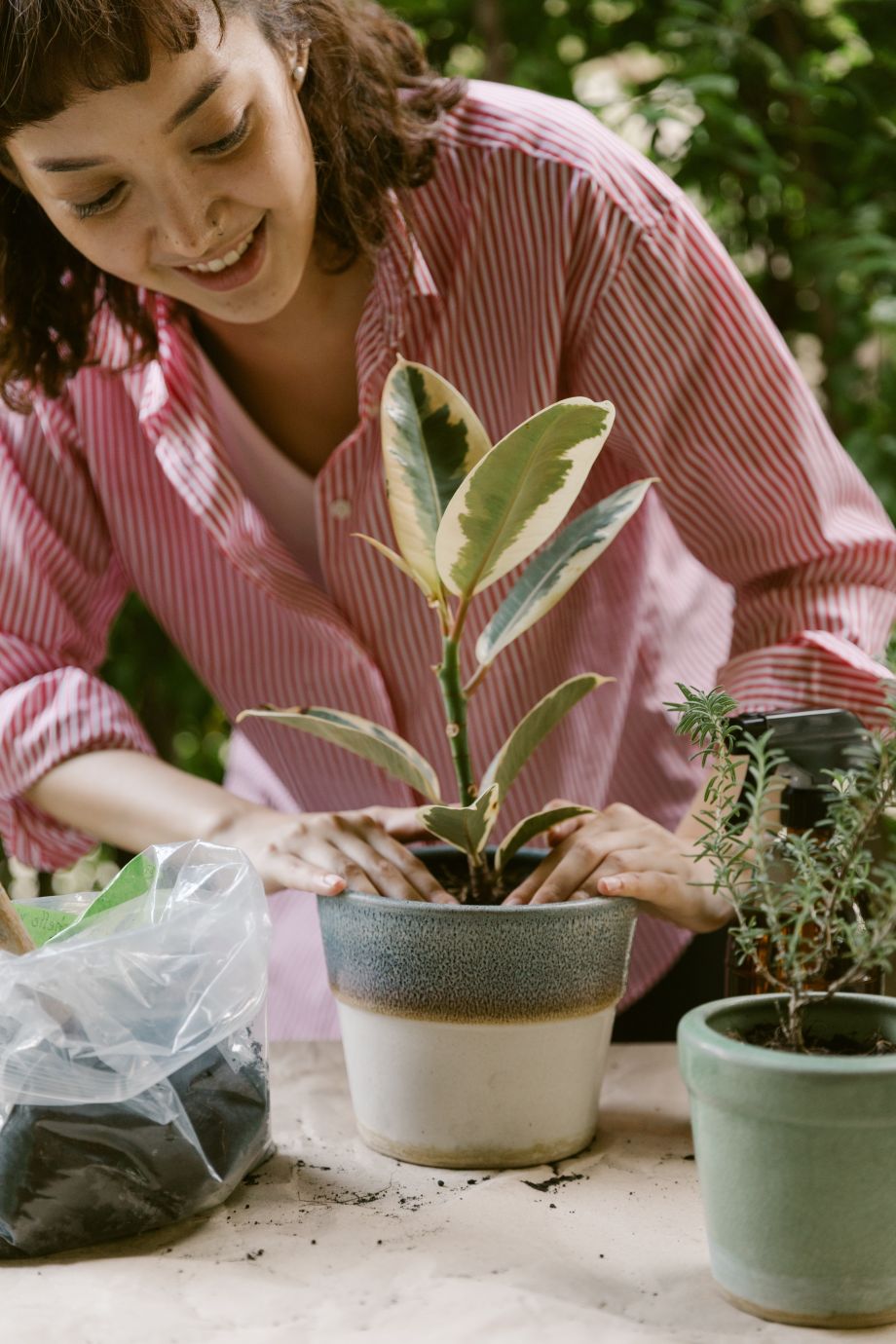 Les bienfaits des plantes dans votre intérieur