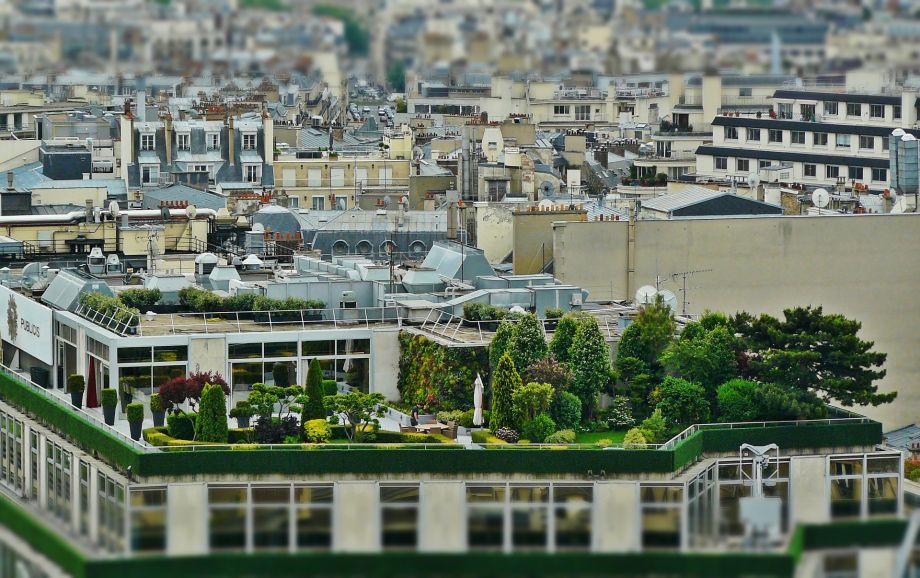 Les jardins de toitures