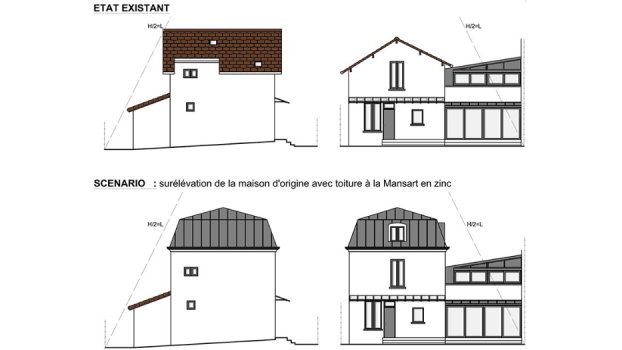 picture of Vertical expension and Single-Family Homes 